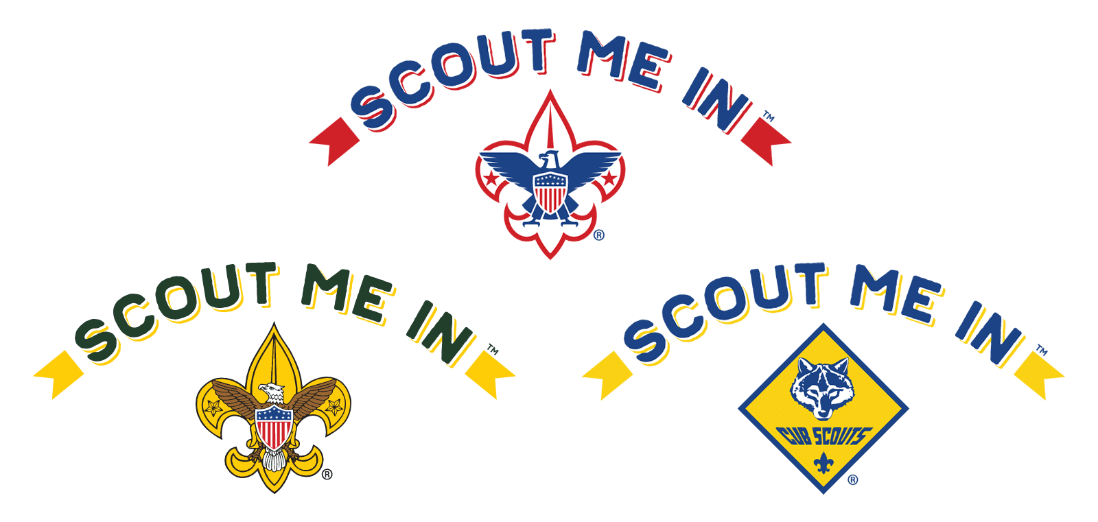 Download Family Scouting | Boy Scouts of America