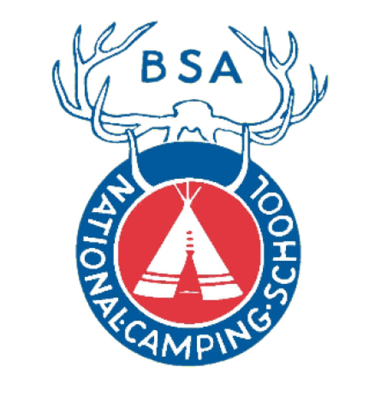 NCS is Cancelled - NOW WHAT? | Boy Scouts of America