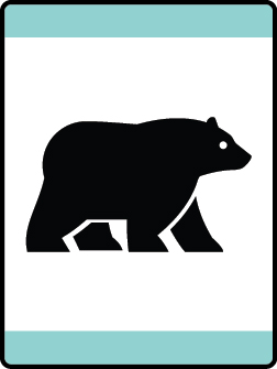 2023_2024_loops_pins_Bear_Habitat.jpg